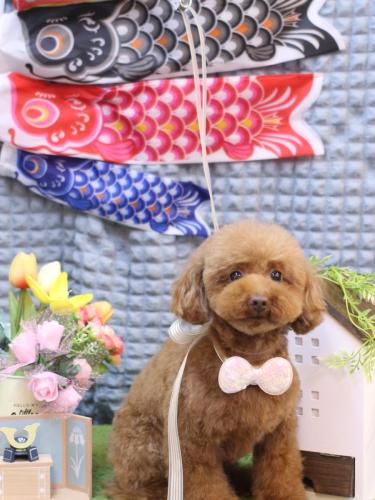 20230519永遠ちゃん